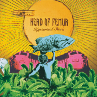 Head of Femur--Hysterical Stars